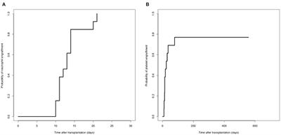 Graft Failure in Patients With Hematological Malignancies: A Successful Salvage With a Second Transplantation From a Different Haploidentical Donor